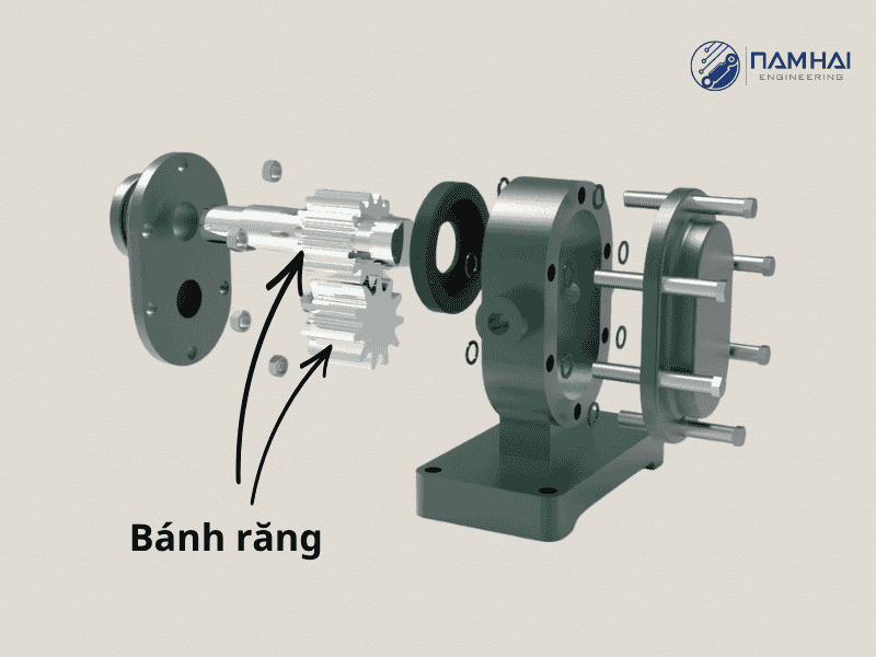 Hình ảnh 2 bánh răng của bơm ăn khớp ngoài