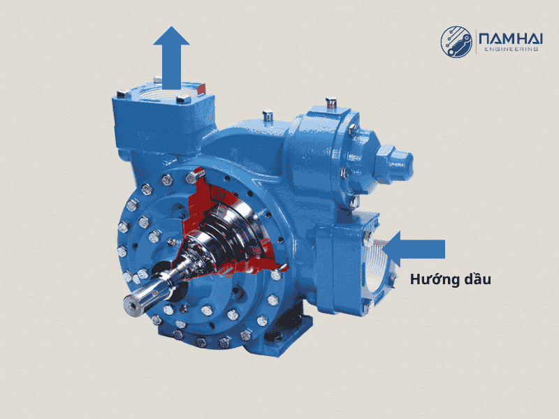 Mặt cắt cấu tạo của bơm