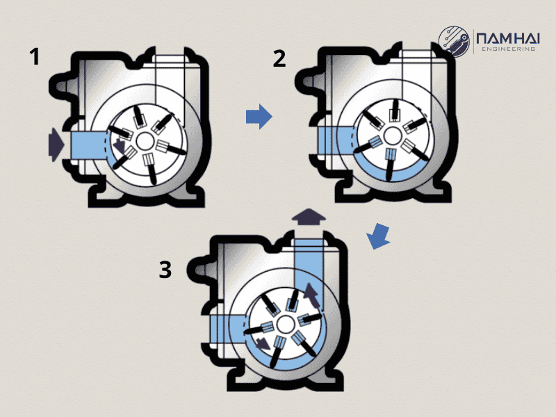 Nguyên lý hoạt động của bơm dựa vào 