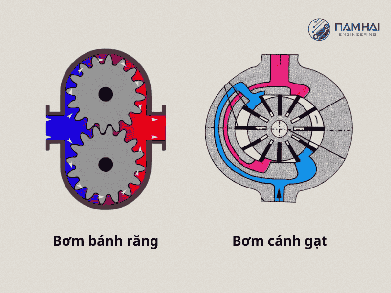 Mặt cắt cấu tạo của bơm bánh răng và cánh gạt